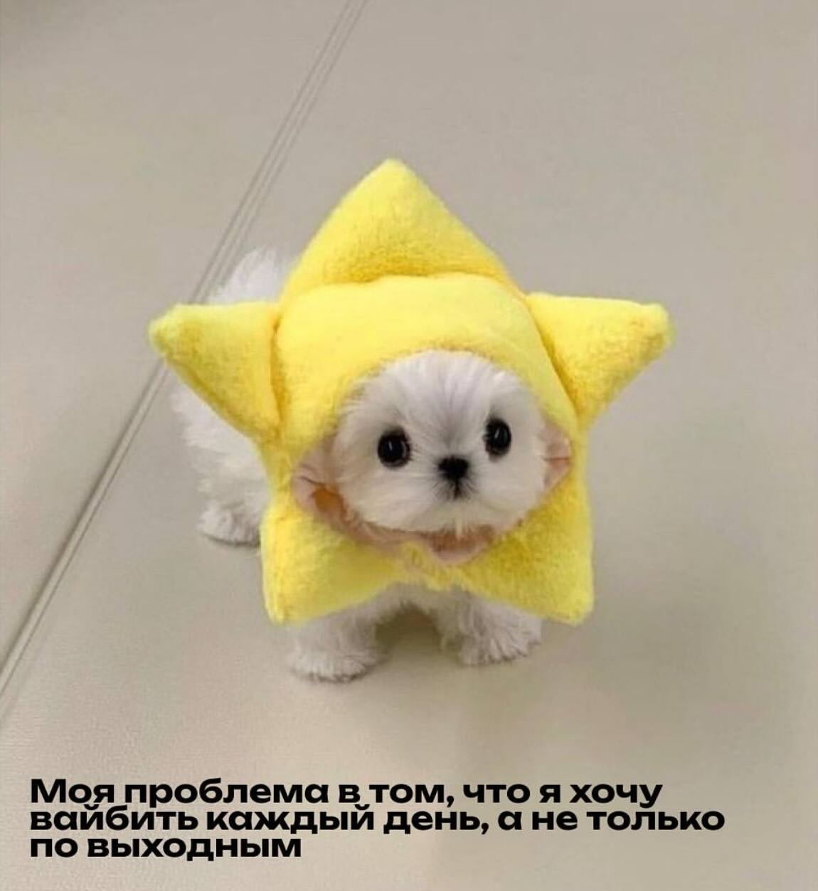 Иллюстрация к статье