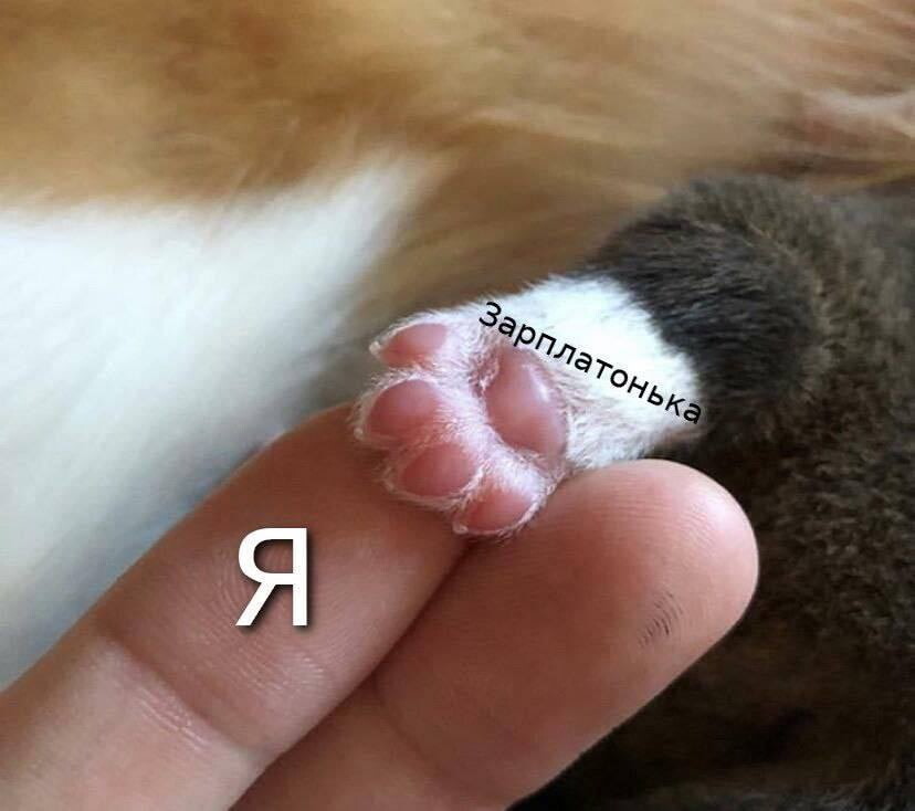 Слэш-карьера: 7 причин